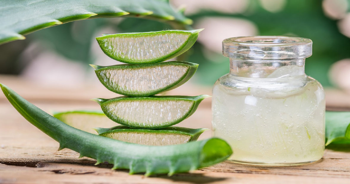 Aloe Vera